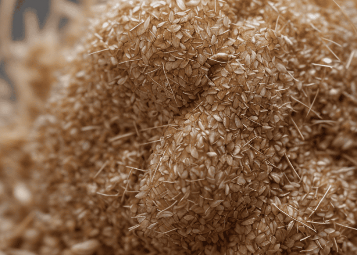 realistic style close up of chaff in the